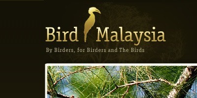 Bird Malaysia